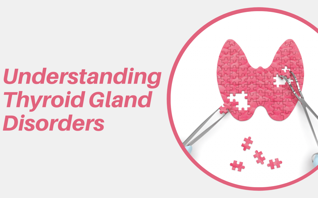 Understanding the Thyroid Gland: Structure, Function, and Disorders