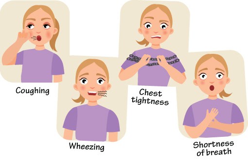 “Understanding Asthma: Symptoms, Triggers, Management, and Prevention”
