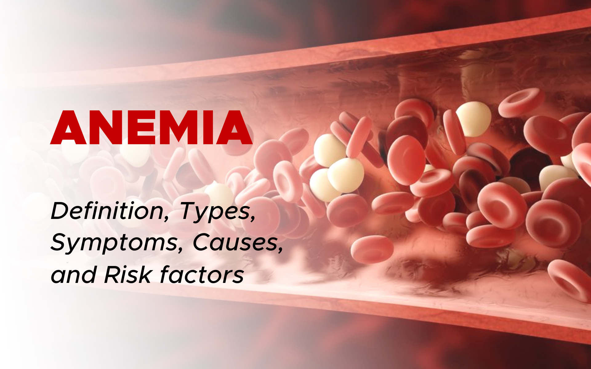Anemia 101: Signs, Types, Treatment Options & Prevention Tips